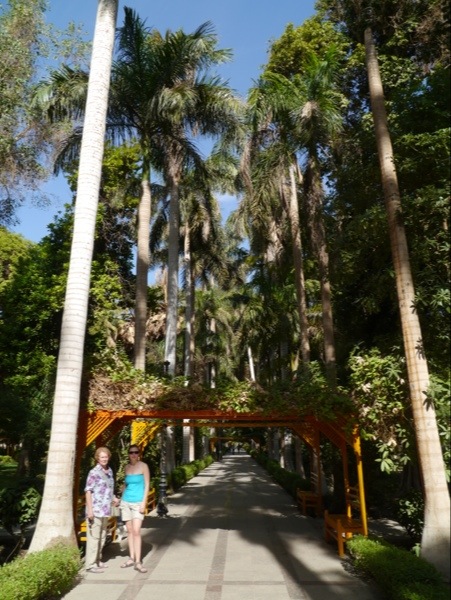 20121125-131911.jpg