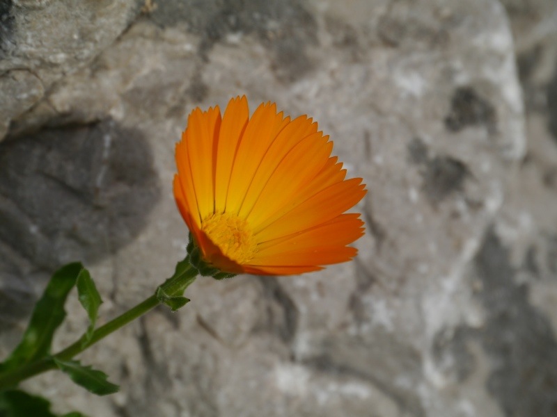 20121207-195845.jpg