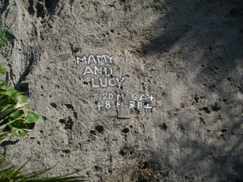 20121208-191912.jpg
