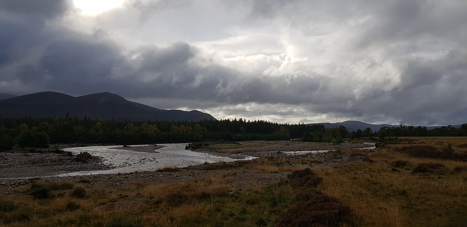 Alongside the River Feshie
