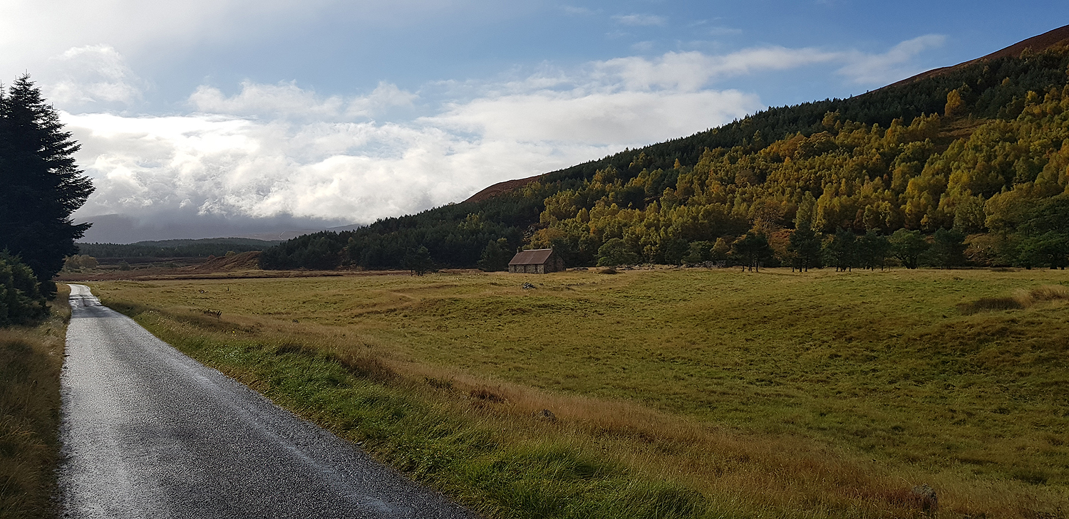 Woods of Glen Tromie