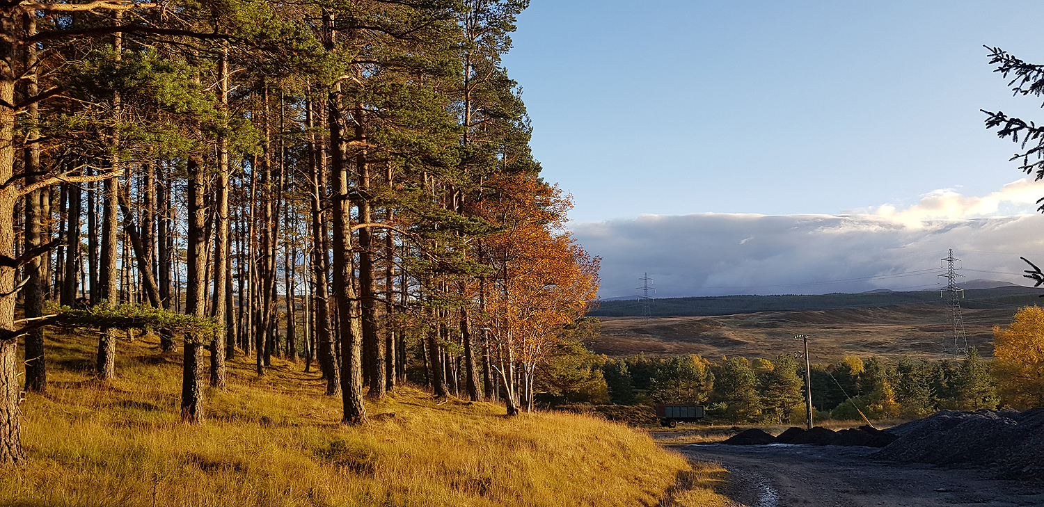 Close to the A9