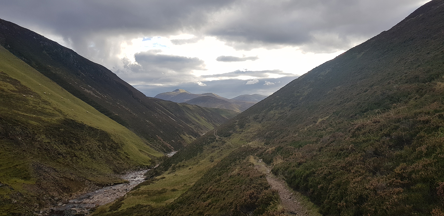 Single track after Tarf